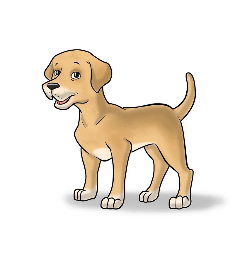Como Posso Saber Se Meu Cão Tem Problemas nos Olhos?